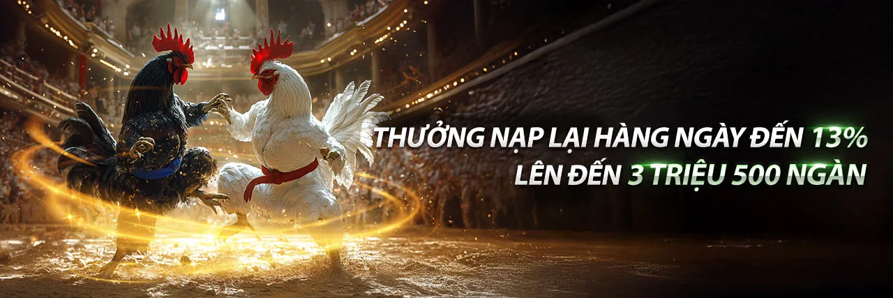 Sân đấu đá gà trực tuyến AE888 Nổ Hũ