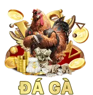 Hoàn trả cược thể thao hàng ngày